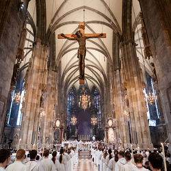 Chrisammesse 2025 / Erzdiözese Wien/ Schönlaub, Stephan Schönlaub